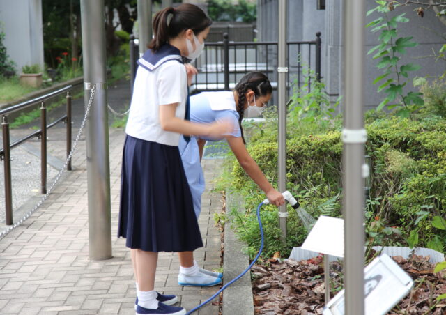 アンネのバラ　水やり活動