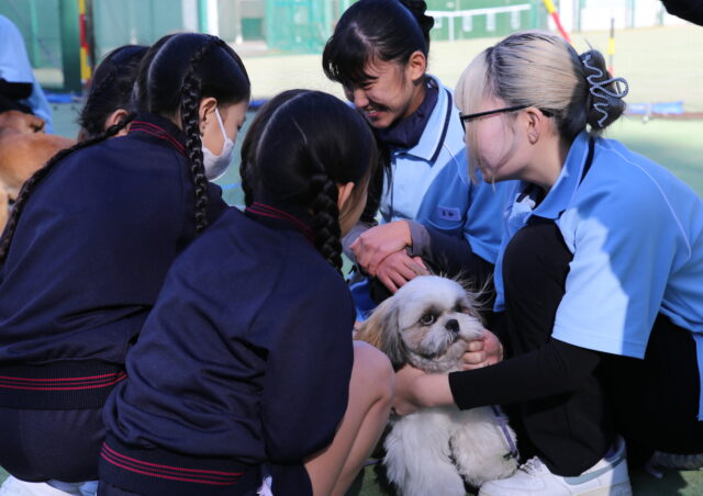 犬とのふれあい（２年生）