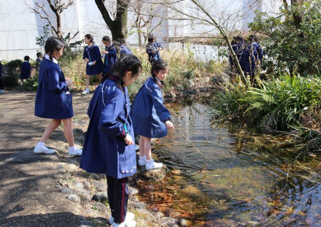 ビオトープで学ぼう