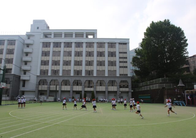 暑い日が続きます