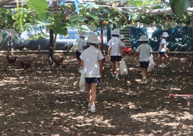 虫取り・梨もぎ ２年生