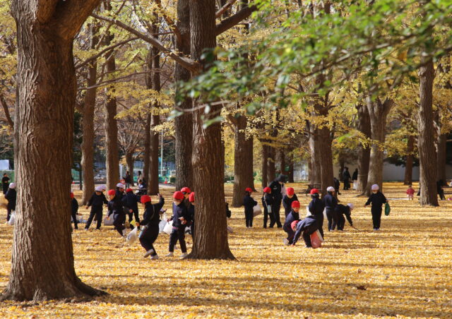 落ち葉ひろい １年生