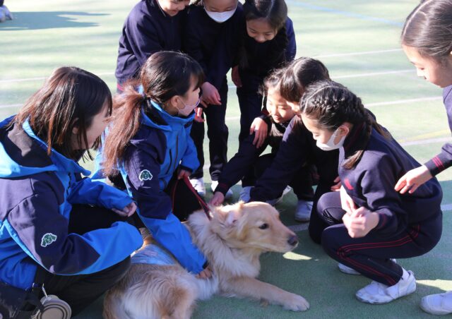 ワンちゃんとのふれあい体験
