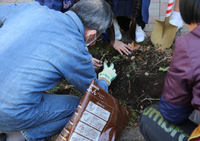 アンネのバラ移植