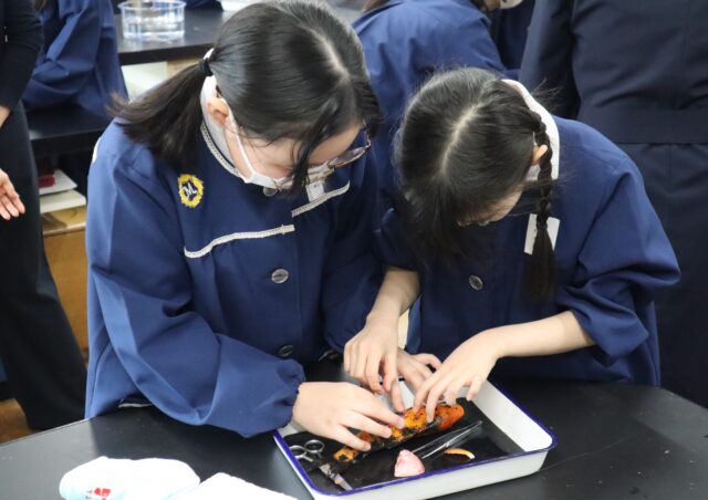 新着情報 | 東京女学館小学校